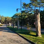 Bialogorachill 11a Caloroczne I Active Białogóra